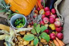 OGV_Niederfischbach_Erntedank_22_Obst_Gemuese