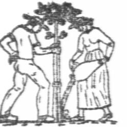 Logo OGVN